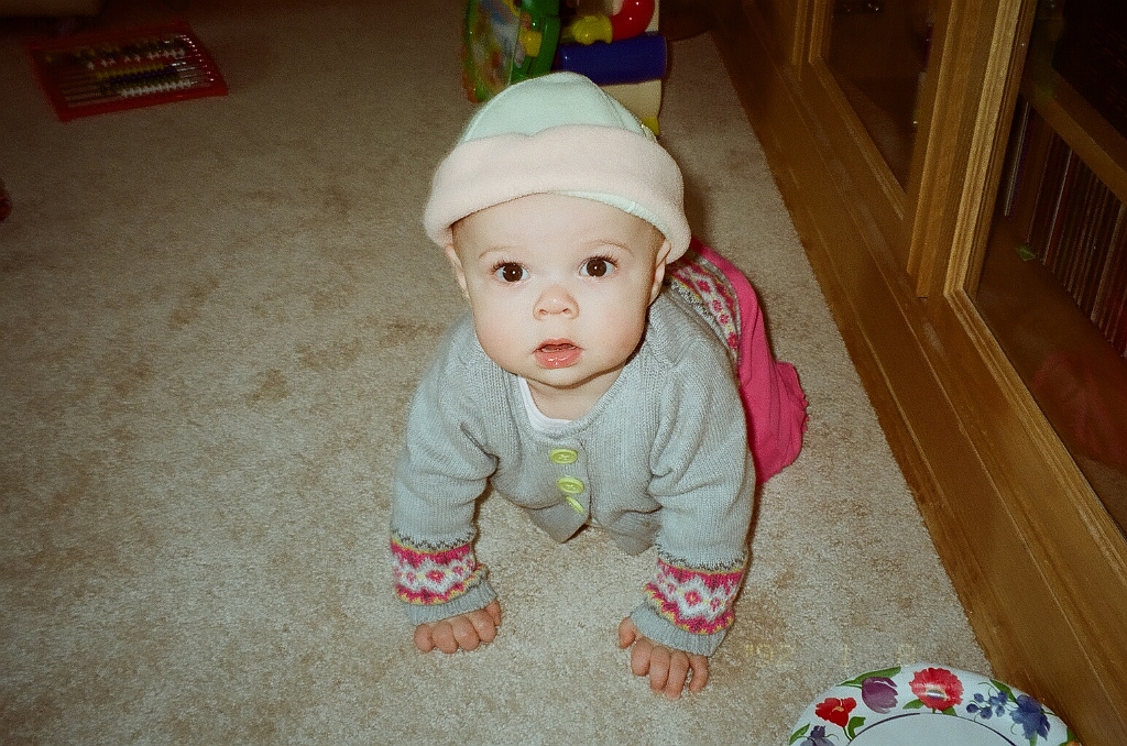 87910007.jpg