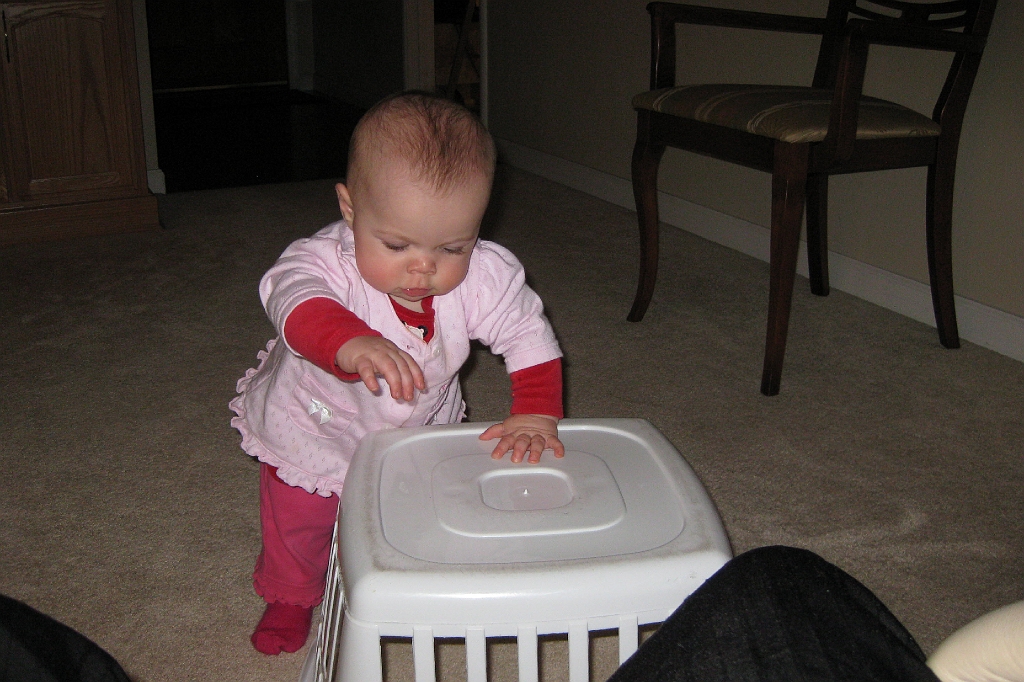 IMG_1_0045.jpg
