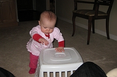 IMG_1_0045