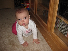 IMG_2047_0037