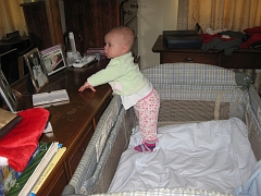 IMG_2181_0013
