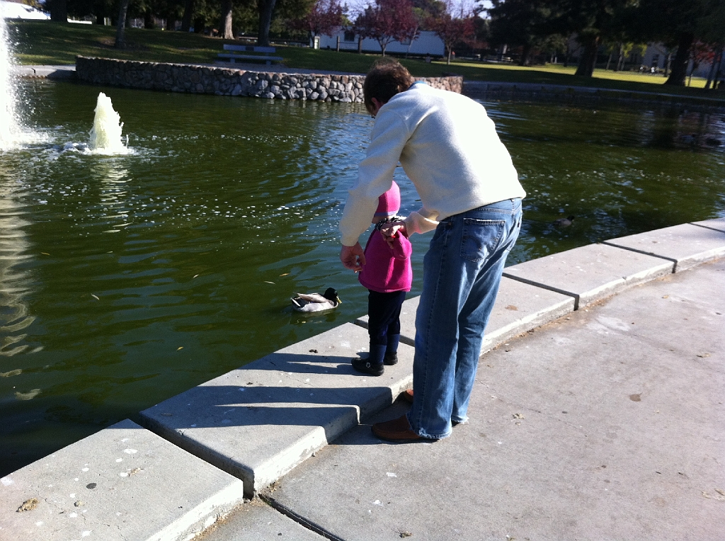 IMG_1772.jpg
