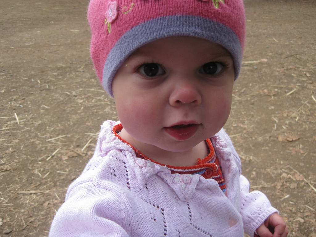 IMG_3732.JPG