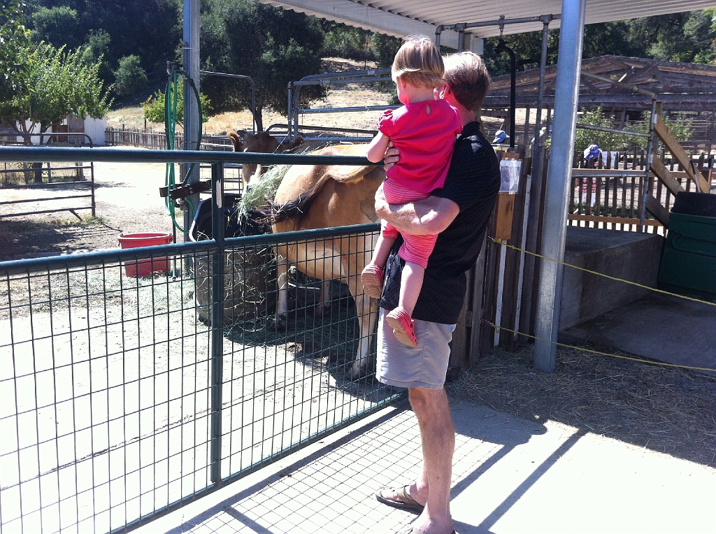 IMG_1019.jpg