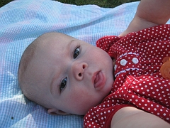 IMG_1892_0031