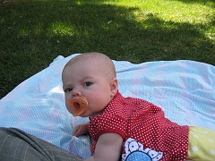IMG_1894_0029
