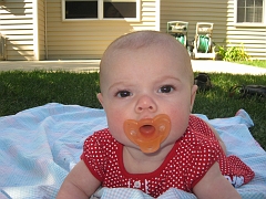 IMG_1895_0028