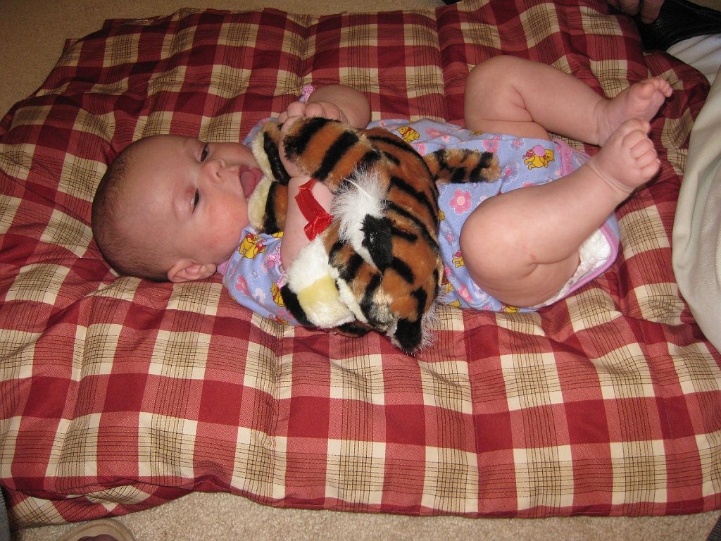IMG_1746_0175.jpg